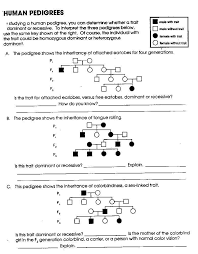 In these diagrams, people are represented by symbols, usually circles for female and squares for male, and the bottom line represents the children of the couple above. Genetics Worksheet Middle School Free Pedigree Worksheets Google Search Genetics Practice Problems Word Problem Worksheets Genetics
