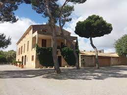 Rafael nadal interview for eurosport (es) ahead of the australian open 2021. Https Www Xn Casaseorial 6db Com De