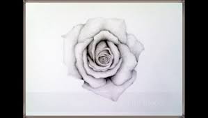 Drawing Lessons Step By Step Drawing Tutorial Learn How To Draw A Fresh Rose In Full Bloom Easy Realistic Drawings Realistic Rose Drawing Realistic Drawings