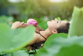 Image result for Hình ảnh yếm đào ngủ trưa