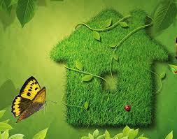 Resultado de imagen para imagenes sobre ecologia