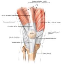 Can this be cured without surgery? Medial Patellofemoral Ligament Reconstruction Sydney Knee Specialists