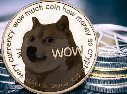 Dogecoin is only 4 months old but it's already the 2nd most popular coin by. After Gamestop The Rise Of Dogecoin Shows Us How Memes Can Move Markets Business Standard News