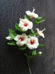 Polymer clay colors in your choosing (the hibiscus usually has at least 2 colors). Pin On Bonsais