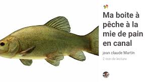 La Tanche A La Mie De Pain