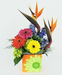 Let flowers for columbus take care of your flower delivery, gift baskets, chocolates & wine gifts. Newark Flower Delivery