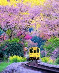 Best Earth Pics On Twitter Spring Scenery Beautiful Places Nature Japanese Landscape
