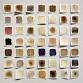 Botanical Ink Making with Andrea Sherrill Evans