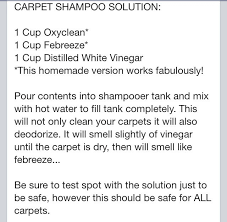 Winter's slush may be past, but the lingering dinginess of your carpets still leaves you cold. Pin By Maria Cristina Herrera Mendoza On If I Ever Become Domestic How To Clean Carpet Carpet Cleaner Homemade Homemade Cleaning Products
