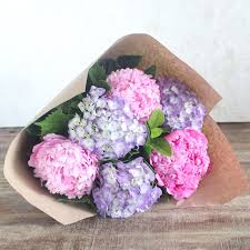 Poho flowers in sydney cbd deliver the highest quality floral arrangements on time. Heavenly Hydrangea And Peonies Fresh Flowers Delivered Sydney