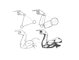 How To Draw A Muscular Arm Pose - Step By Step - Tutorial - Ram Studios  Comics