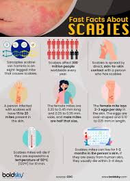 Image result for scabies transmission