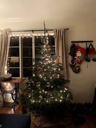 Damian and leia prause are the owners of the old time christmas tree farm. Christmas Ranch Tree Farms 52 Photos 37 Reviews Christmas Trees 1586 Pederson Rd Thousand Oaks Ca United States Phone Number Yelp