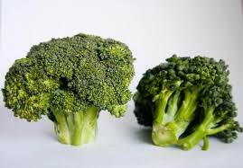If you decide to give you cat broccoli, just follow. Can Cats Eat Carrots Broccoli And Other Vegetables Like Cauliflower And Peas