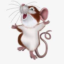 Mouse Mouse Illustration Cute Animal Drawings Art