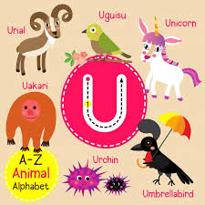 Letter U Zoo Alphabet In 2020 Preschool Alphabet Printables Animal Alphabet Kids Vector
