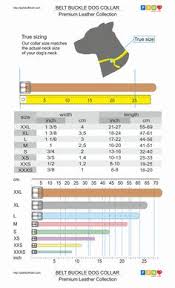 Kong Dog Harness Size Chart Bedowntowndaytona Com