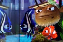Dory is a bit of a forgetful fish, according to the classic children's film finding nemo. Things You Never Knew About Finding Nemo