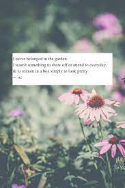 Quotes From Rosepetalednightmaressunflowerdreams Poetry About Our Wildflower Spirits Wild Flower Quotes Flower Child Quotes Wild Child Quotes