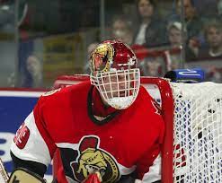 The ottawa senators are a professional hockey team in the national hockey league. Dominik Hasek Of The Ottawa Senators Goalie Mask Ottawa Senators Goalie