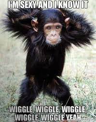 Here are some funny eulogy quotes to consider using at a funeral for a friend. 55 Funny Monkey Ideas Monkey Monkeys Funny Funny Animals