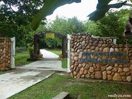 The mountain itself is the highest point in selangor and part of the. Gunung Nuang Selangor S Highest Peak From Emily To You