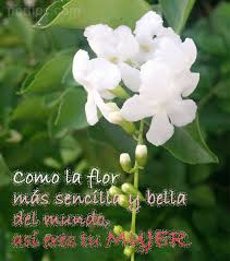 Pin En Me Amo