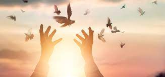 Ciencia E Espiritualidade Um Caminho De Cura E Equilibrio