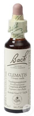 Check spelling or type a new query. Bach Flower Heilmittel 09 Clematis Gewohnliche Waldrebe Flasche 20ml Newpharma