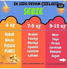 Ek Gida Devam Cizelgesi 2 Bebek Yemek Tarifleri Mama Tarifleri Yenidogan Bakimi