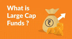 Invest In Large-Cap Mutual Funds - Benefits & Reasons | Bank Of Baroda