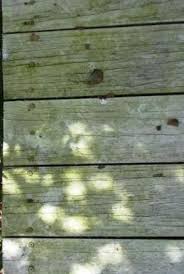 Take a vacuum cleaner equipped with a hose, a soft brush. Mold Problems With Decking Materials