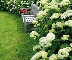 La terre encore chaude permettra un début d'enracinement avant l'hiver dans une terre bien préparée. Quelles Plantes Choisir Pour Une Bordure Jardins Idees Jardin Deco Jardin