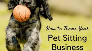 Find opening times for the nearest pet sitters and other contact details such as address, phone number, website. 50 Fantastic Pet Sitting Business Name Ideas Toughnickel