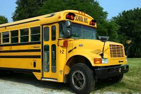 Image result for School Bus Yellow 2009 Fleet