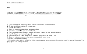What is the relationship changes in the dna code are called mutation and they can cause a protein to not function properly. Solved Gene To Protein Worksheet Dna 5 Gggcctatattaatatac Chegg Com