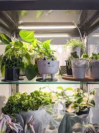 how to hack an ikea glass cabinet to make a greenhouse in 2021 ikea plants indoor greenhouse grow lights