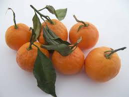 Check spelling or type a new query. What Is A Satsuma Mandarin And When To Find Them Eat Like No One Else