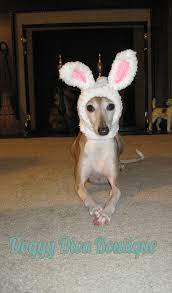 Dog Hat Bunny Ears Hat Easter Hat Photo Prop Costume For Dog Or Cat Easter Dog Dog Hat Easter Hats