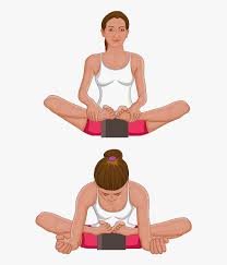 Mimic the stages of a butterfly. Butterfly Pose Variations Hd Png Download Kindpng