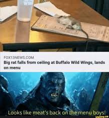 M 0 Mi R Om Big Rat Falls From Ceiling At Buffalo Wild Wings Lands On Menu Ifunny Lotr Funny Stupid Memes Memes