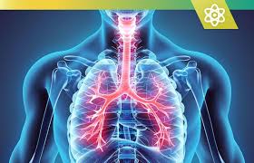 Top 10 Best Lung Health Supplements For Natural Breathing Benefits In 2020 In 2020 Chronic Obstructive Pulmonary Pulmonary Disease Chronic Obstructive Pulmonary Disease