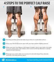 Lower Leg Exercises Hot Sale, Up To 57% Off | Apmusicales.com