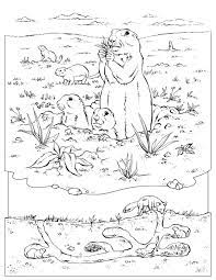 You are viewing some prairie dog sketch templates click on a template to sketch over it and color it in and share with your family and friends. Coloring Book Animals J To Z Dog Coloring Book Dog Coloring Page Animal Coloring Books