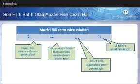 son harfi illetli olan muzari fiilin cezm hali okul