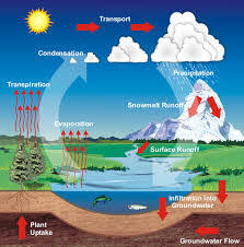 Science The Water Cycle Flashcards Quizlet