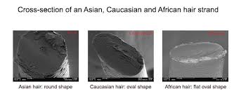 To have glistening and radiant black hair, you have first to make a decisive change in your lifestyle. Ethnicity And Hair Structure