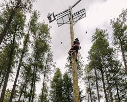 Image of Treetop Drop at Treeosix Adventure Parks