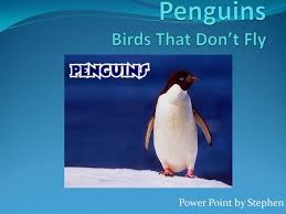 Besides, is a penguin a fish or a bird? Penguins By Jericho Naig What Is Your Animal My Animal Is A Penguin The Penguin Can Swim Fast And They Very Slaw But They Can Catch A Fish Very Fast