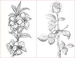Maybe you would like to learn more about one of these? 30 Gambar Sketsa Bunga Mudah Bunga Matahari Mawar Tulip Sakura Teratai Sepatu Melati Dll Seni Budayaku